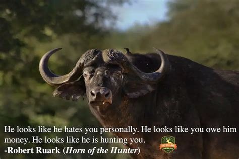 hunting qoutes|23 Best Hunting Quotes: They'll Change How You View .